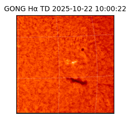 gong - 2025-10-22T10:00:22