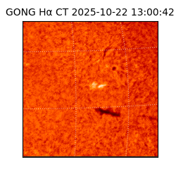 gong - 2025-10-22T13:00:42