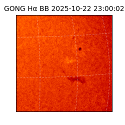 gong - 2025-10-22T23:00:02