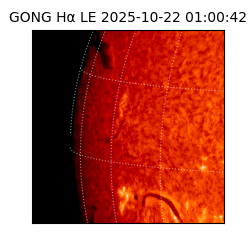 gong - 2025-10-22T01:00:42