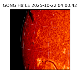 gong - 2025-10-22T04:00:42