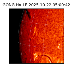 gong - 2025-10-22T05:00:42