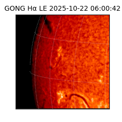 gong - 2025-10-22T06:00:42