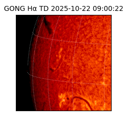 gong - 2025-10-22T09:00:22