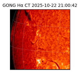 gong - 2025-10-22T21:00:42