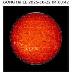 gong - 2025-10-22T04:00:42