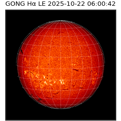 gong - 2025-10-22T06:00:42