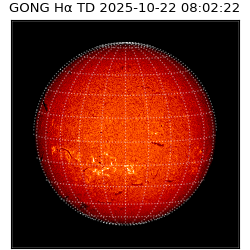 gong - 2025-10-22T08:02:22