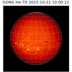gong - 2025-10-22T10:00:22