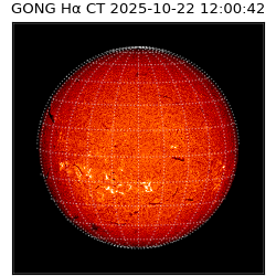 gong - 2025-10-22T12:00:42