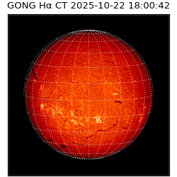 gong - 2025-10-22T18:00:42