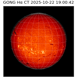 gong - 2025-10-22T19:00:42