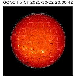 gong - 2025-10-22T20:00:42