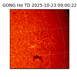 gong - 2025-10-23T09:00:22