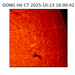gong - 2025-10-23T16:00:42