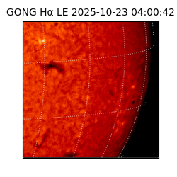 gong - 2025-10-23T04:00:42