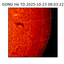 gong - 2025-10-23T08:03:22