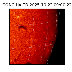gong - 2025-10-23T09:00:22