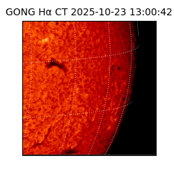 gong - 2025-10-23T13:00:42