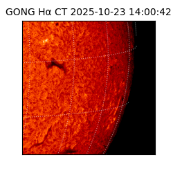 gong - 2025-10-23T14:00:42