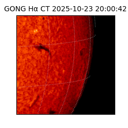 gong - 2025-10-23T20:00:42