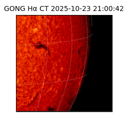 gong - 2025-10-23T21:00:42