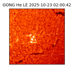 gong - 2025-10-23T02:00:42