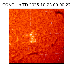 gong - 2025-10-23T09:00:22