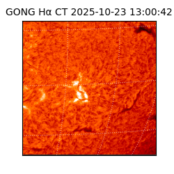 gong - 2025-10-23T13:00:42