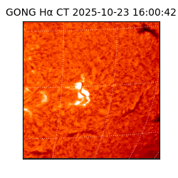 gong - 2025-10-23T16:00:42