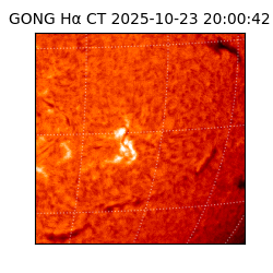 gong - 2025-10-23T20:00:42