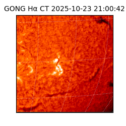 gong - 2025-10-23T21:00:42