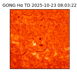 gong - 2025-10-23T08:03:22