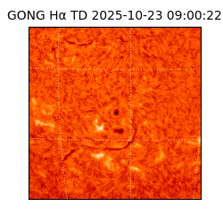 gong - 2025-10-23T09:00:22