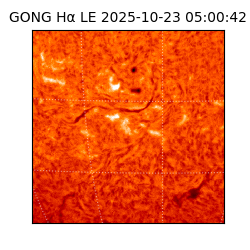 gong - 2025-10-23T05:00:42