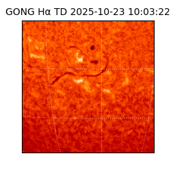 gong - 2025-10-23T10:03:22