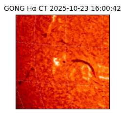gong - 2025-10-23T16:00:42