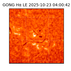 gong - 2025-10-23T04:00:42