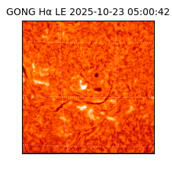 gong - 2025-10-23T05:00:42