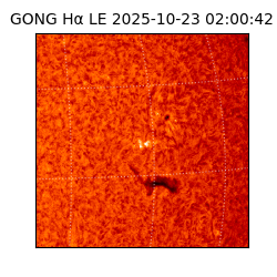 gong - 2025-10-23T02:00:42