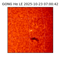 gong - 2025-10-23T07:00:42