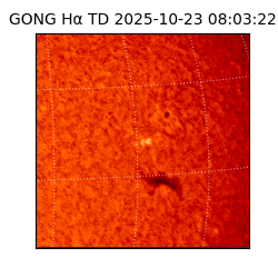 gong - 2025-10-23T08:03:22
