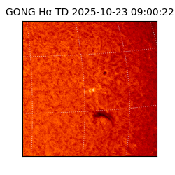 gong - 2025-10-23T09:00:22