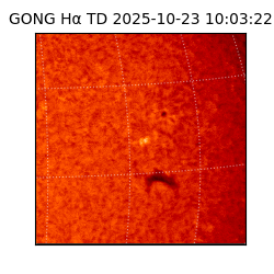 gong - 2025-10-23T10:03:22