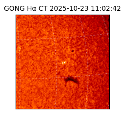 gong - 2025-10-23T11:02:42