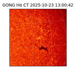 gong - 2025-10-23T13:00:42