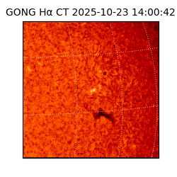 gong - 2025-10-23T14:00:42