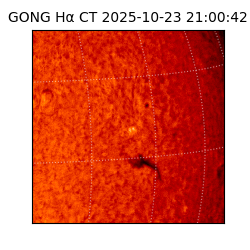 gong - 2025-10-23T21:00:42