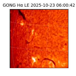 gong - 2025-10-23T06:00:42