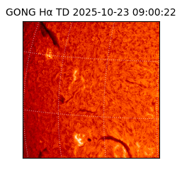 gong - 2025-10-23T09:00:22